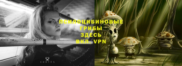 apvp Осташков