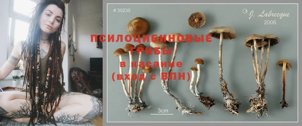 ешки Остров