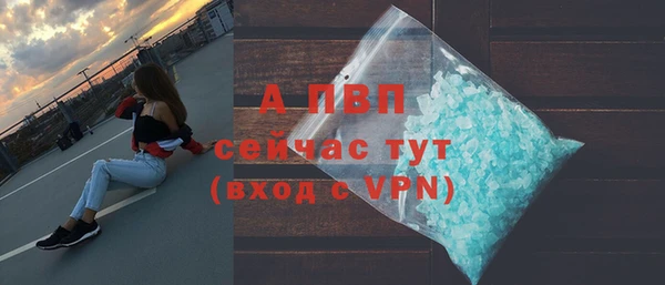apvp Осташков
