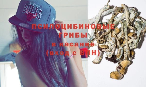 первитин Осинники