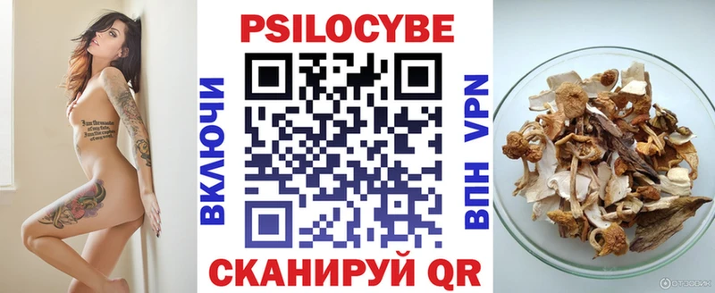 Псилоцибиновые грибы GOLDEN TEACHER  Купить  Кировград 